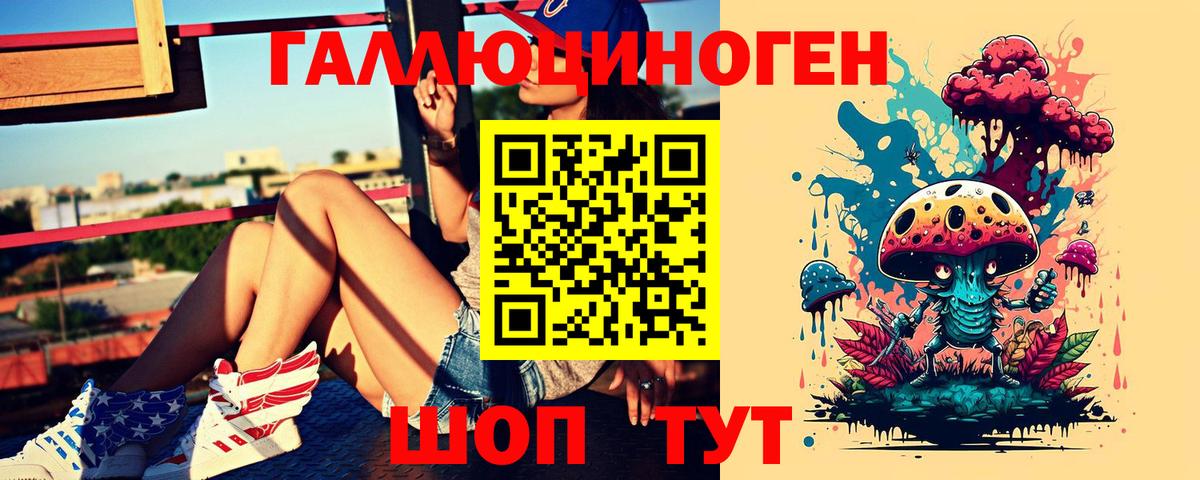 Галлюциногенные грибы Psilocybe  Вход с VPN  Черняховск 